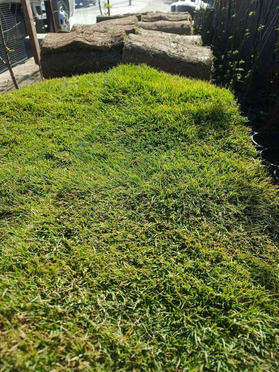 #ياعلي المتر ب 2,500✔️
للحجز مراسله الصفحه او الاتصال على الرقم التالي:
***********
