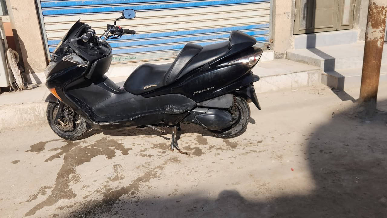 دراجه للبيع ⚠️
فورزه 0.9 
دراجه نضيفه مامفتوحه 
كلشي شغال . 
سعرها ( مليون ) وبيها مجال وتدلل
مكاني / ناصريه 
للاستفسار + واتساب / 
*********** 
***********
