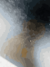 الهم صلي على محمد وعلى آل محمد السلام عليكم ورحمة الله وبركاته تنكر سكانيا للبيع مديل 2009كفاله عامه تفاصيل رقم الهاتف***********
