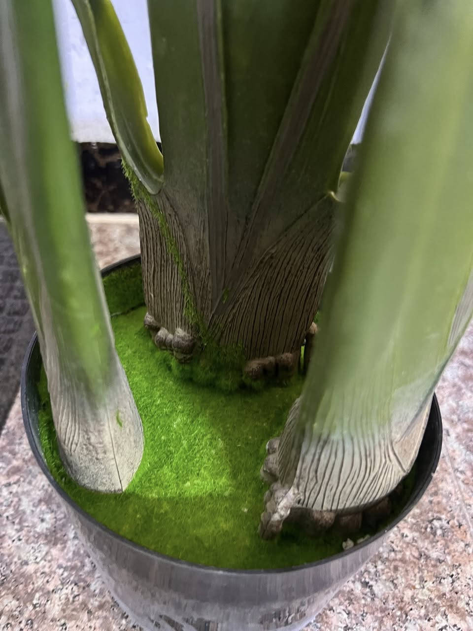 شجره بهاذا الشكل جديده زيتي الطول 184سم اول تم 35


**إذا كنت صاحب هذا الإعلان وتريد حذفه لأي سبب، رجاءا أرسل رسالة إلى الدعم الفني**