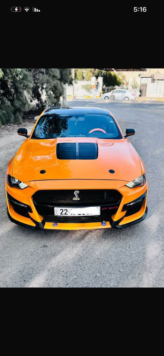 للبيع موستنك موديل 18 ايكوبوست لون مميز برتقالي سقف اسود مكتوب بسنويه 
رقم اربيل 
شرط التحويل والوكاله سنويه وهزه جديده مكان السياره كركوك 
مثبت سرعه 
محدث شيلبي 
جناح خلفي 
تشغيل عن بعد 
شاشه كار بلاي
تدفئه وتبريد ثلج 
شوته 
تحكمات ستيرن
قياده ذاتيه 
السياره مابيها مصرف الف دينار فول تاخذ بيها تراي من كركوك للبصره شرط الكير والمحرك 
بيها ثلاث قطع ابيع حزام رصعه بسيطه بسقف بيها سحب شاصي فقط سحب 
محرك مفتوح  مكفوله كفاله عامه 
السعر 108  وبيها مجال 
 واتساب موجود  *********** كركوك, العراق
