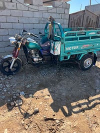 ستوته • مديل ١٨ • أوراق كاملة