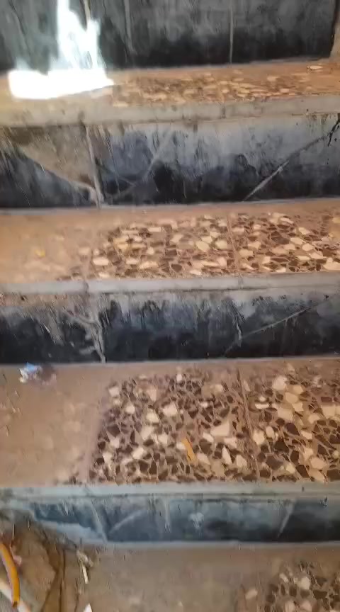 طابق ثاني للايجار  الشعب الديوان شارع 25......  ايجار 350...... ***********ابو ضياء
