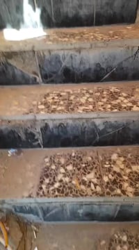 طابق ثاني للايجار  الشعب الديوان شارع 25......  ايجار 350...... 077085...