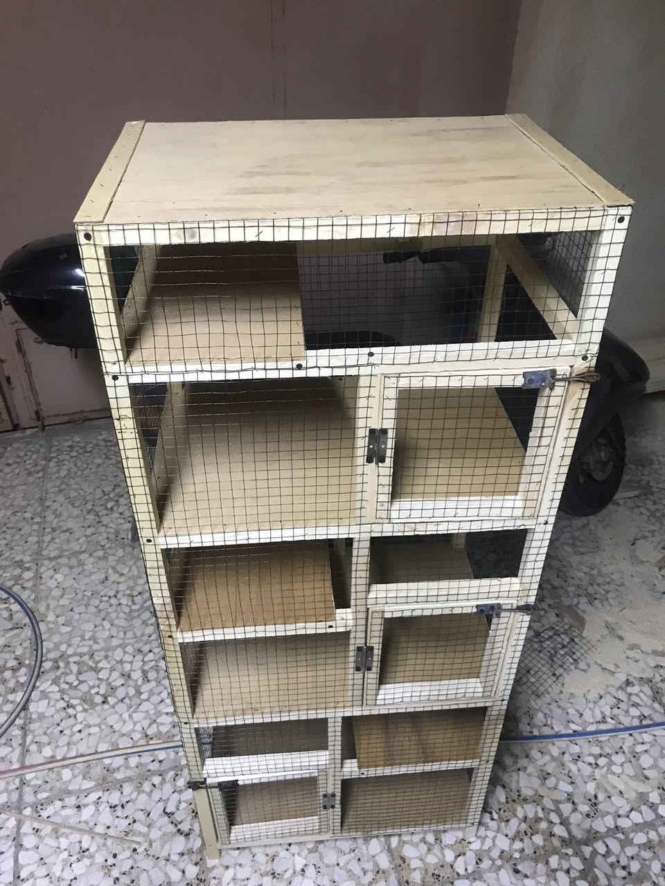 يا الله
متاح قفص ابو3خانات جديد الارتفاع الكلي متر و45 سم والعرض60 والنزال40كل خانه بيها رف/كربلاء حي الانتفاضه الثانيه


**إذا كنت صاحب هذا الإعلان وتريد حذفه لأي سبب، رجاءا أرسل رسالة إلى الدعم الفني**