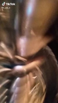 دراجة ٢٠٢٦ • ٤ كير • اوراق اصلية