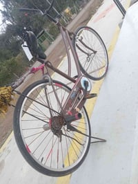 بايسكل • للبيع • بابل