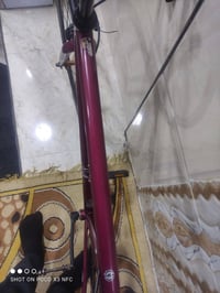 باسكل نضيف • بصرة • قابل للتفاوض