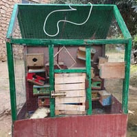 مكلف بل نشر فقاسه عدد 60 بيضه قلاب اوتو ماتيك سعره 75 الف وبيه مجال بس...