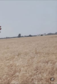 طابو زراعي • ٣٥ دونم • طريق ابو الماش
