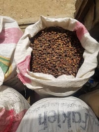 بن خولاني • محصول جديد • جودة عالية