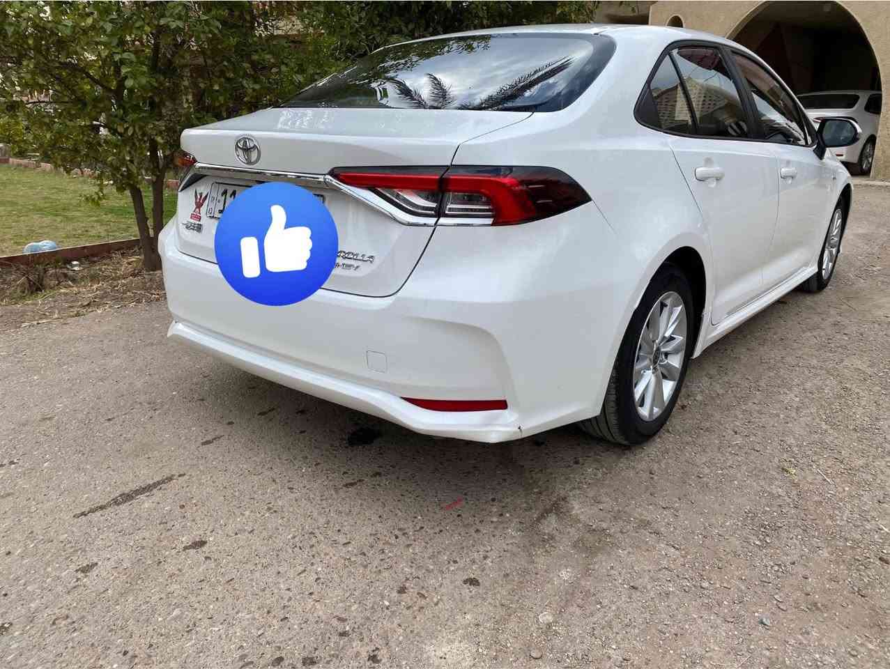 كورلا 2025 ماشيه 6000 بعدها زيرو
مكفولة كفالة عامه فول فتحه رقم بغداد حرة

***********
متواجد في بغداد زيونة
بيع فقط بدون مراوس السعر 140
