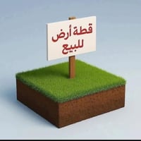 قطعة ١٠٠م • كوت حبيبي • شارع زرزور