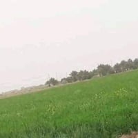 ٨٠ دونم • طابو زراعي • شط الفرات