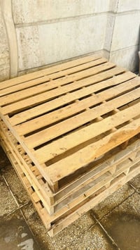 سكيبات • عدد ٦