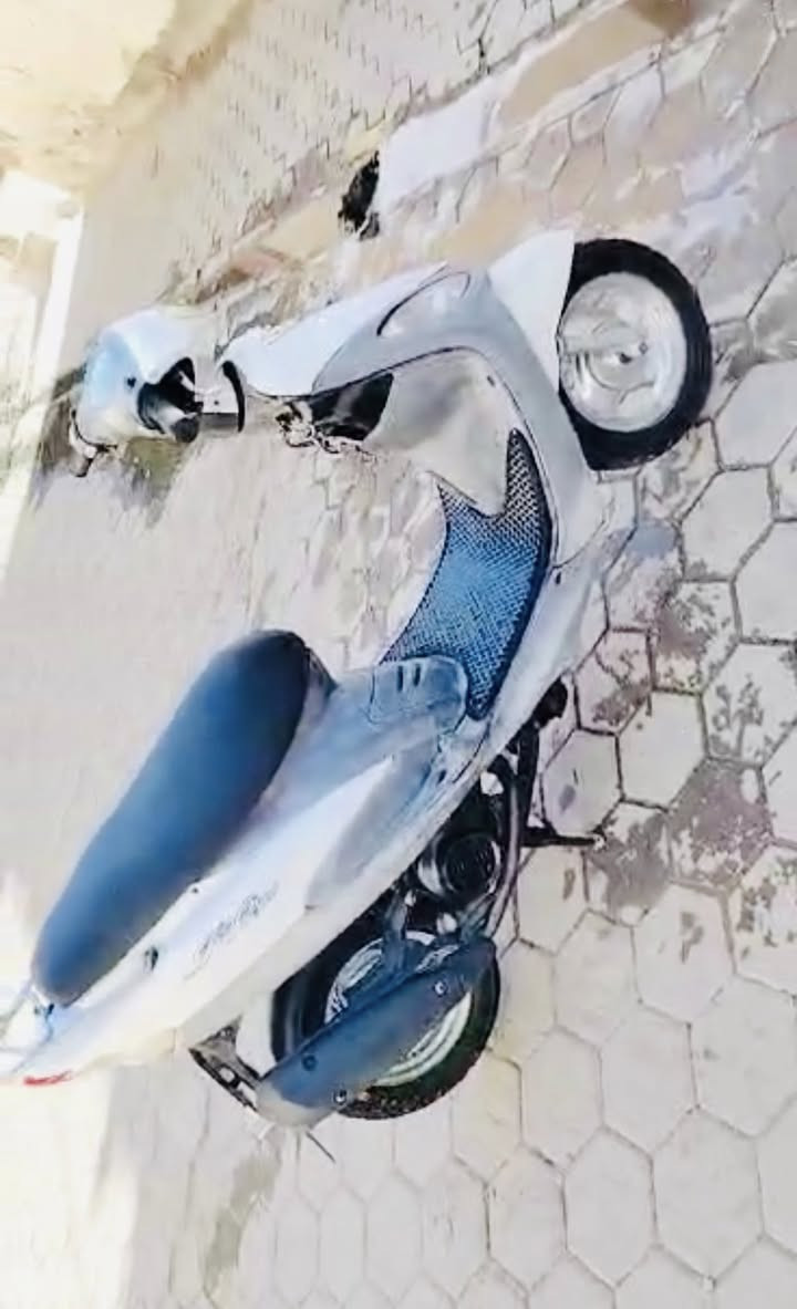 ماكس منغولي للبيع كاملة اي نقص مابيها فقط سيم جنطة   تعبان تجي تفحص وين مايعجبك اخذها افحصها *********** نجف
