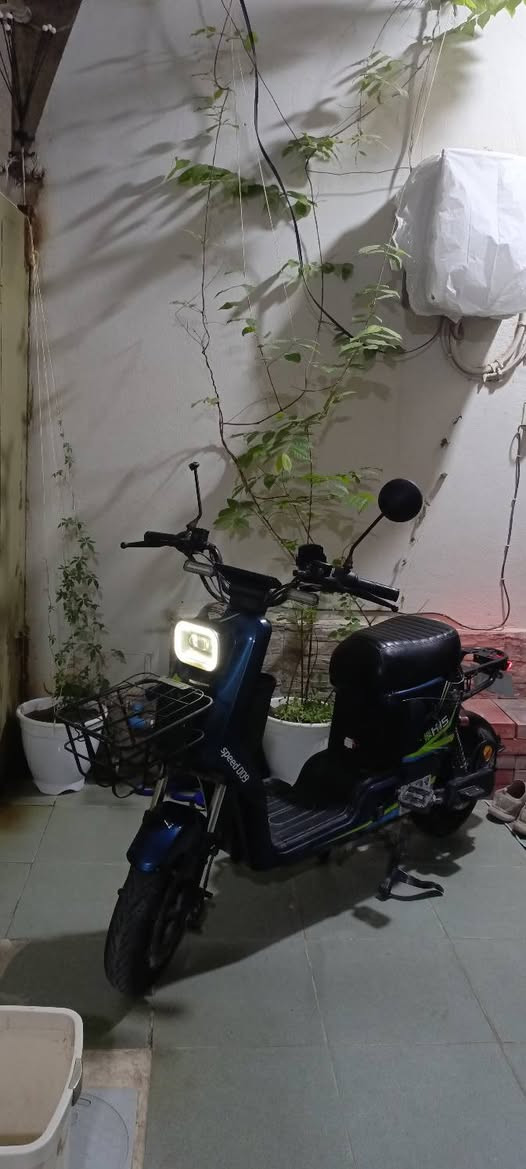 دراجه شحن 🔋⚡ 🛵2026
6 بطارية0فول  🪫
يوجد نظام ال  R بگ للخلف
سايد بريك
لايت طكتين عالي ونصاصي 
يوجد نظام قاطع دوره من الجنطه 🎒
اشاير يمين يسار 
دبل اشاره ✌
شاشه عداد اعطال ونمر
منفذ UPS ⚡
دراجه نظيفه 
أربع  نمر بيه 
سرعة 80 🚀
للأمانه دراجه جديده زيرو بس جال وكعوها ونكسر كفر خلفي

            السعر 650 قابل للتفاوض  كربلاء حي البلديه
اي استفسار رقم الهاتف ***********
