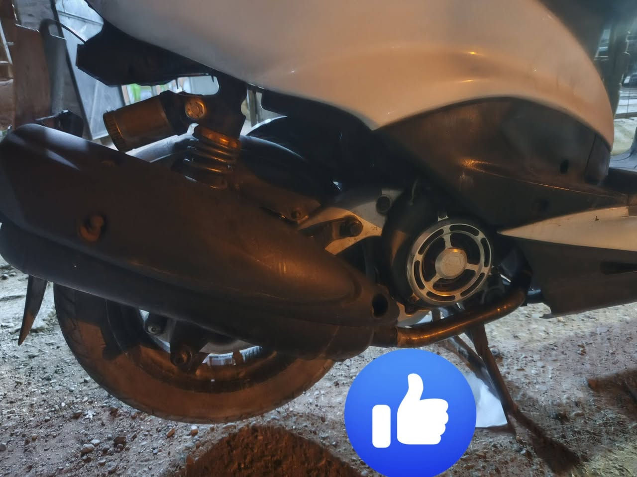 السلام عليكم. سكنز. نثية 140. دراجة منزلة رمبه ع ايدي..
دراجه نضيفه محرك مكفول. دهن امزويل اديرله. ربع ديره سلف اشوكت متجيه لو بعز البرد نكره

بيه تزويد مثل اكلجات رياضي ودبل رياضي مال رمبه من اجتي وياها. تايرات جدد باتري جديد. هذه كل اليه رايده ٨٠٠ وبيه مجال. ***********
