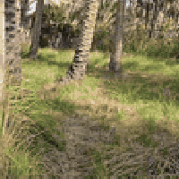 كربلاء شارع الحافظ • ١٠٦٠م • واجه ٢٢م