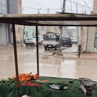 عماريه ستوته • عمارية • صندوق ستوته • قطع ستوته • قطع غيار ستوته • مرك...