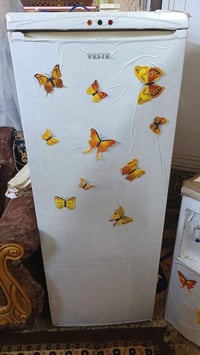 مجمدة عامودية • فستل • للبيع