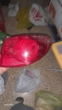 بك لايت امريكي اصلي • فطر بسيط • يمين