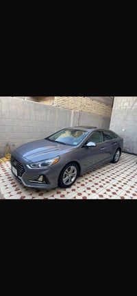 فول مواصفات • ٢٠١٨ • رقم ميسان