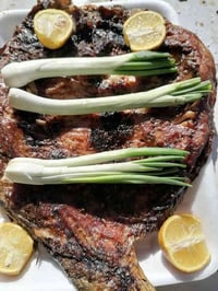 مسكوف ابو يزن • توصيل • قرب مركز صحي