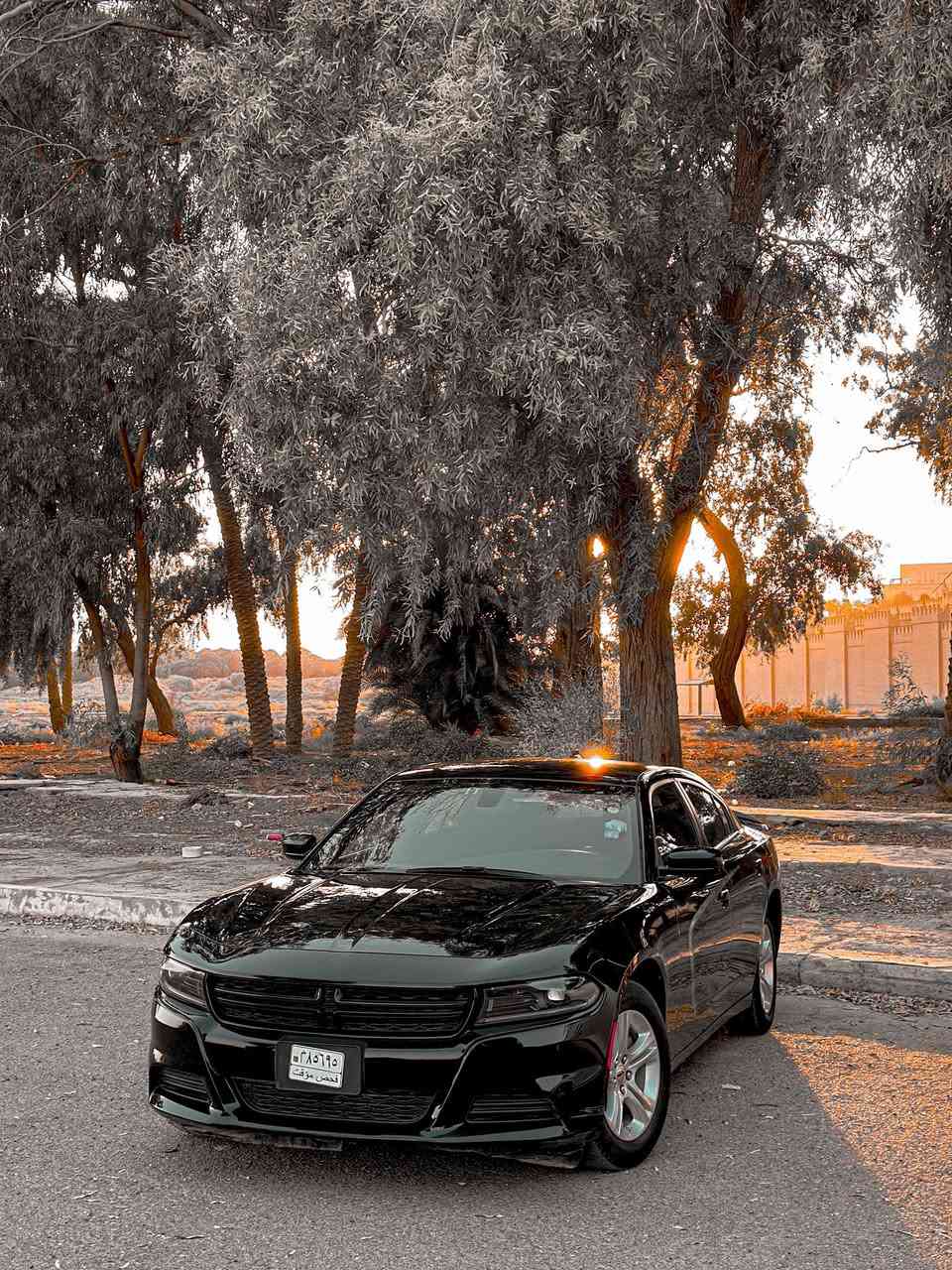 جارجر موديل 2023 sxt
السيارة منفيس بدون ارقام تترقم اي رقم يعجبك 
بدون قطرة صبغ فقط تعديل بارد واكو تعديل بسيط بالحوض 
مواصفاتها معروفة اضافة الى سستم صوت الباين شاشة جبيرة 
حادثها موضح عدكم بالصور 
عنواني : بابل / الحلة 
للاستفسار : ***********
السعر : 228 وبيها مجال بسيط 
تواصل وياي وبيك خير وتدلل 
وربي يرزقكم ويرزق الجميع انشالله 🤍
