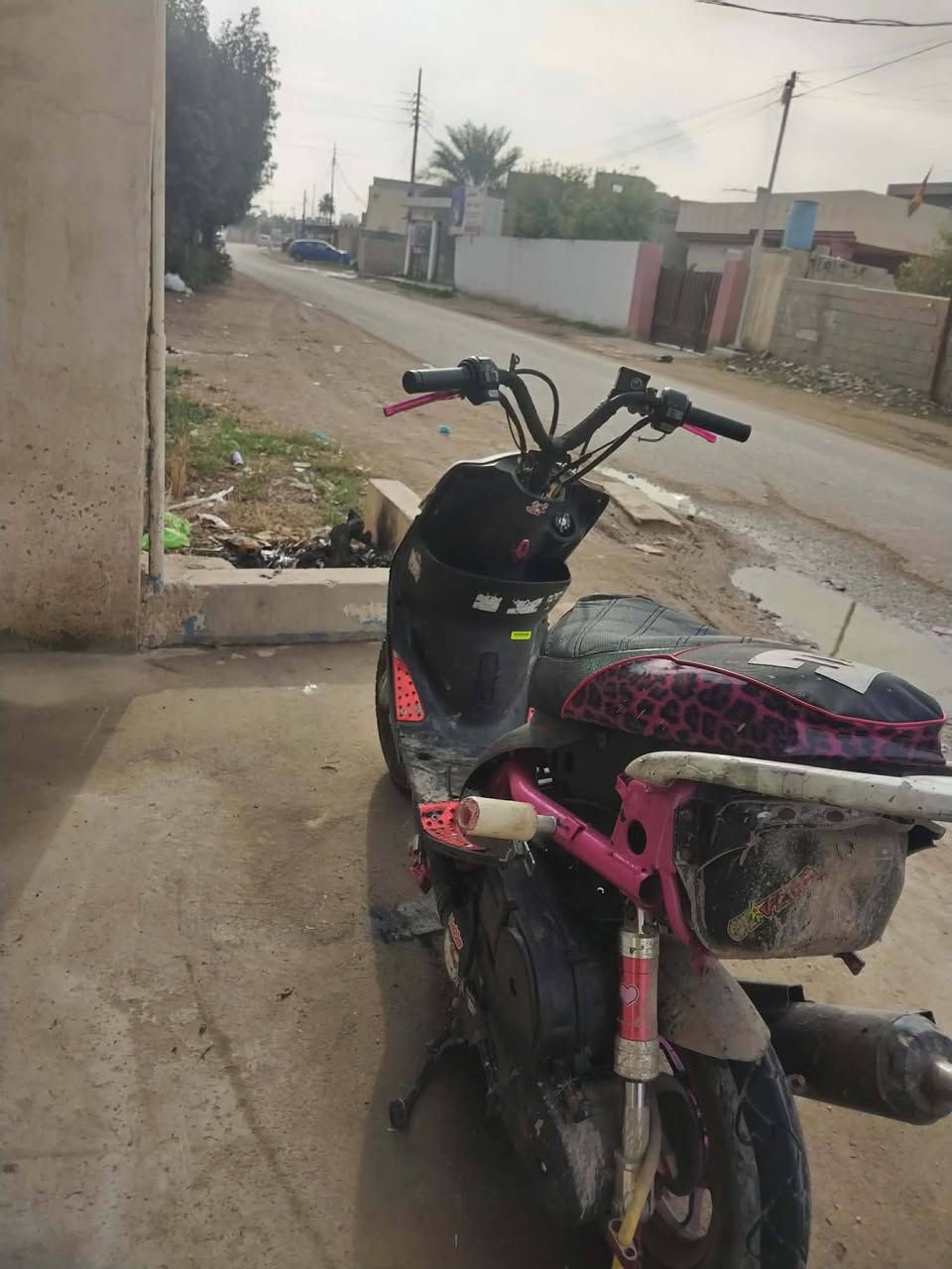 سلام عليكم دراجة ماكس عدلة لبيع دراجة بلادي ٤٩ مو ٥٥ مال لعب شاصي مصبوغ وسعرها 400وبيها مجال


**إذا كنت صاحب هذا الإعلان وتريد حذفه لأي سبب، رجاءا أرسل رسالة إلى الدعم الفني**