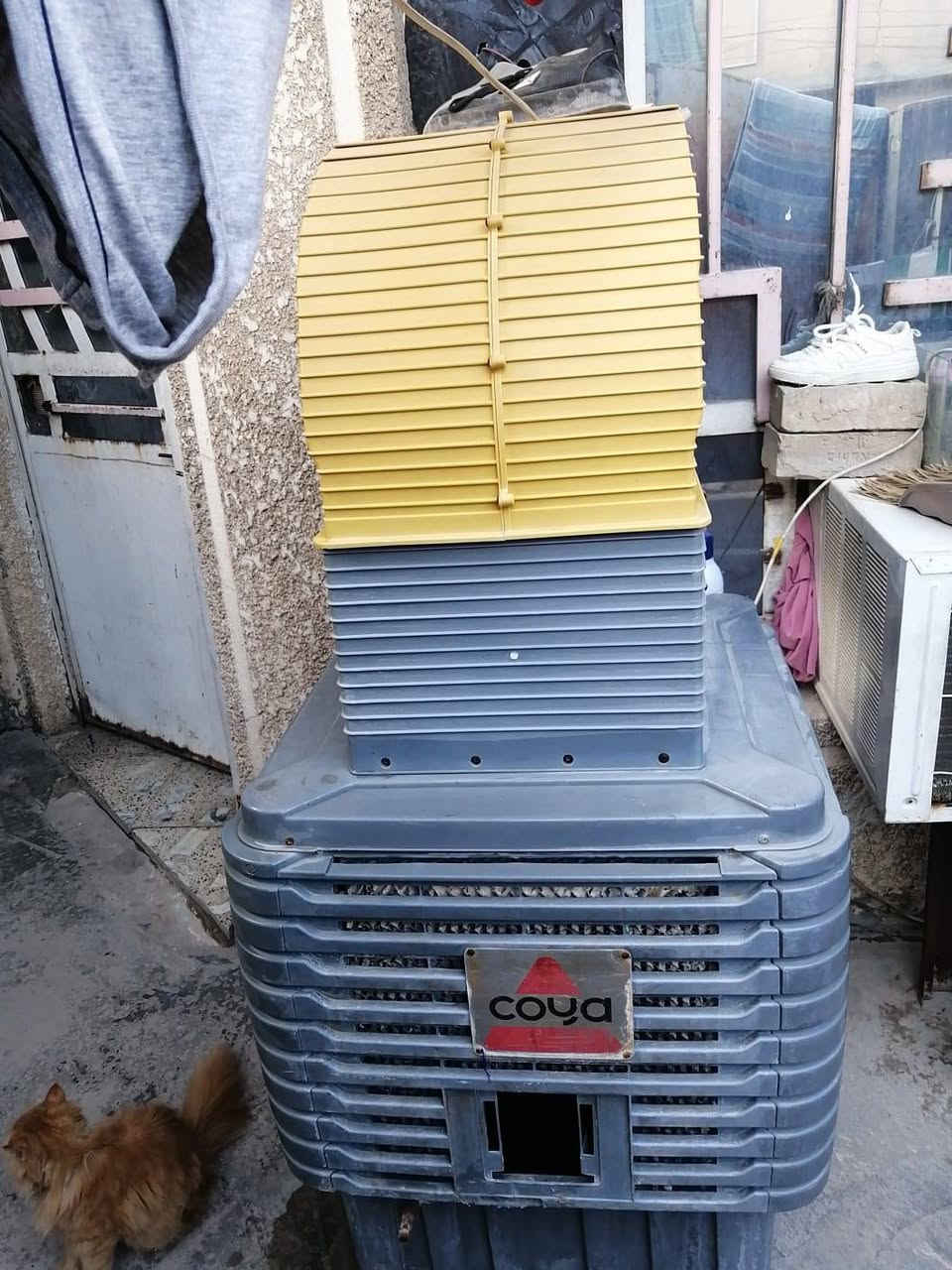 مبرده نظيفه 150 الف


**إذا كنت صاحب هذا الإعلان وتريد حذفه لأي سبب، رجاءا أرسل رسالة إلى الدعم الفني**