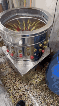 دجاج للبيع • نظيفه • بغداد