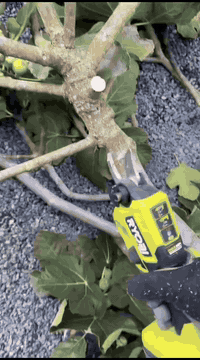 واتساب ***********
