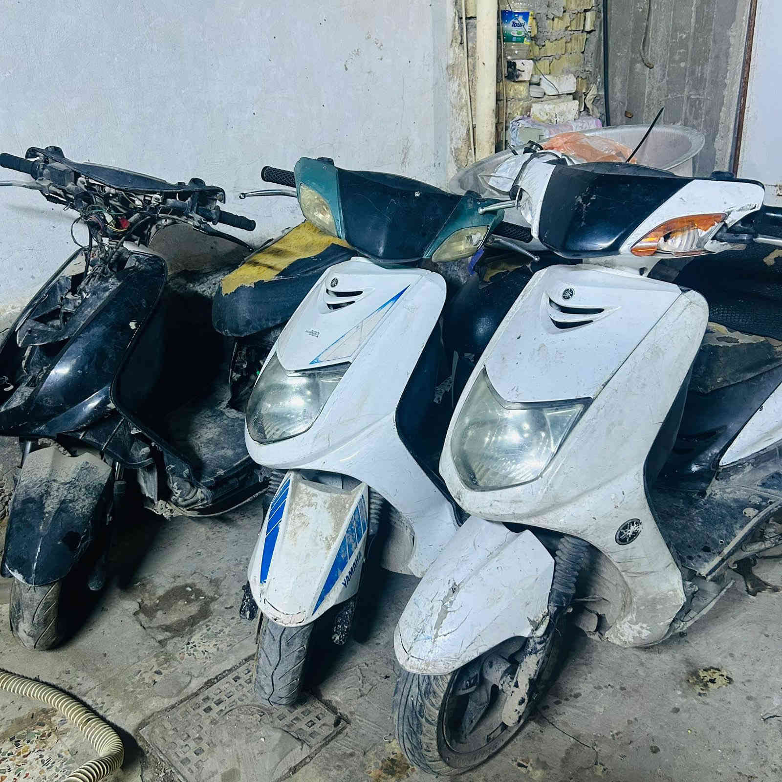 سلام عليكم اخوان 3 دراجات سكنس نثيه للبيع طافيات عوزهن ترتيبات دراجه مثل متشوفون النضافه ابيع شلع كلهن 500 الف جوه السوك ما ابيع بس شلع المكان بغداد حي اور 
الرقم ***********
