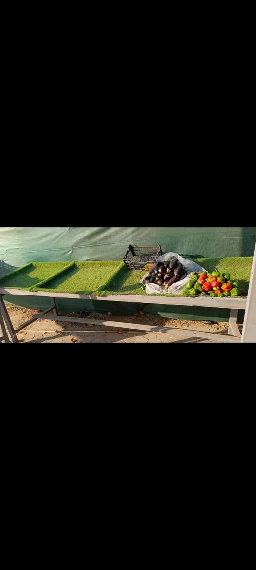 ميازه مخضر تزكام هوه والثيل ميزين قياس مترين وميز الثالث قياسه 3 امتار يعني العدد الكلي 3 ميازه عاليات مكاني العماره ميسان عمارة, ميسان


**إذا كنت صاحب هذا الإعلان وتريد حذفه لأي سبب، رجاءا أرسل رسالة إلى الدعم الفني**