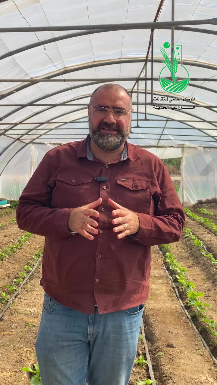 خيار صحي خالي من المبيدات 
برنامج التسميد والمكافحة سيعتمد على المواد العضوية فقط وان شاء الله يكون الانتاج صحي مطابق للمعاير الصحية العالمية 
في المركز العلمي للتقانات الزراعية الحديثة ( شركة الماس الاصفر )
#ثمار
#صحة
#بيئة
#غذاء


**إذا كنت صاحب هذا الإعلان وتريد حذفه لأي سبب، رجاءا أرسل رسالة إلى الدعم الفني**