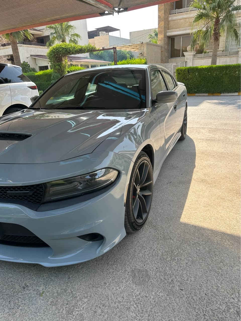 جارجر gt بلص 2021  لون سموك ماشي ٤٤ ميل فول كشنات خزن وتدفئة وتبريد دشبول جلد ما عدا الفتحة بدون داخل وايرباك وطلع بيها باب خلفي وجاملغ كلير امريكا فقط بدون حادث السعر 238 وبيها مجال  
*********** أربيل, العراق
