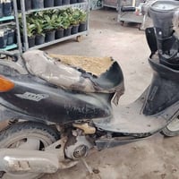 عندي عصفوريه للبيع اتصال ٠٧٧٠٩٩٧١٦٧١