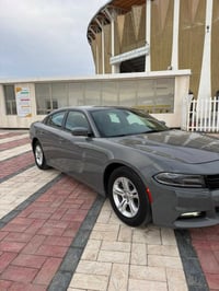 سمنتي • تقرير غرق • ٢٠١٩