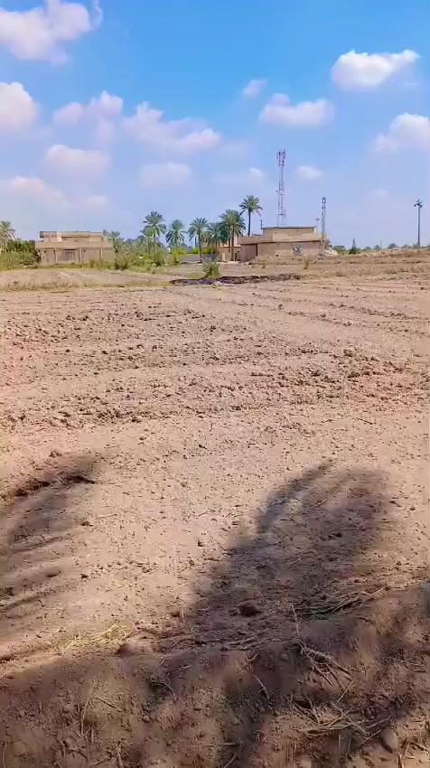 بسم الله الرحمن الرحيم 
تتوفر  وقطع  سكنيه مختلفه #للبيع #زراعي تحويل بسم المشتري 
التعامل مع صاحب الارض مباشر
 تصلح مزارع او سكن  بأسعار مناسبه الموقع في محافظة #بابل #الحله سند25 تحويل بأسم المشتري مباشر 
توجد قطع مساحه مختلفه @للبيع في بابل 
@يوجد دوانم للبيع
@يوجد نص دونم 
@يوجد  مساحه 1000متر 
@يوجد مساحه 750متر
@يوجد المساحه 500 متر
@يوجد المساحه  250 متر 
ويوجد دوانم تصلح مزارع  و سكن طريق حله نجف نزله الامام بكر  ابن علي عليه السلام اوتنزل الى مقام نبي الله ابراهيم الخليل خلف المقام  خلف المقام بواحد كيلو #السعر  اوباقي التفاصيل على  الخاص  اوالاتصال 
  ***********  اتصال 
***********  واتساب
#الجميع_عام_ارض_زراعي_للبيع
#الجميع_عام_اراضي_زراعي_للبيع_حله_بابل_دوانم_للبيع_الج #مزارع #دوانم#بابل_حله #زراعي#@الجميع@المتابعين@الاصدقاء
