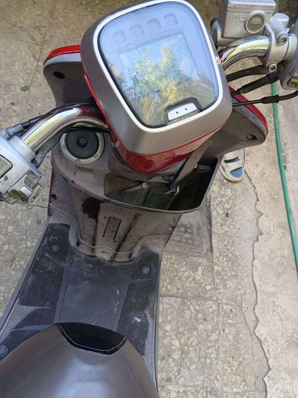 سلام عليكم بوليسي نوزل بلاديه نضاف فول بعده حاويه صارله شهر السعر 950وبيه مجال شويه ‏‪***********‬‏
