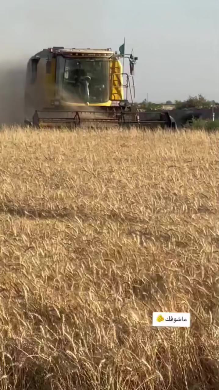 البيع الشراي
يتصل
***********
