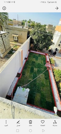 ثيل هندي • توصيل مجاني • واتساب