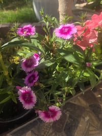 مقاسات كبيرة • أسعار مناسبة • توصيل مجاني