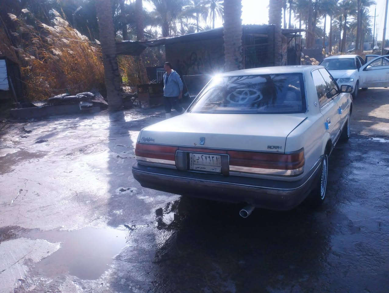 سلام عليكم ورحمة الله وبركاته من رخصة الادمن المحترم والاعضاء الكرام هارتوب للبيع والمراوس حسب القناعه موديل 1991رقم انبار بسمي شخصين مكفوله من الكص اونقل الجثه والصربه والكلبه سياره جاهزه كمينه كير حداديه كهربائيّة تخم تاير باتري شغال وين ميعجبك اطلع تراي الرون والكيلو متر فجه وكفن عدي سياره مال جناي السعر42اوبيهه مجال قليل حك الجيه والشراي بي خير اويدلل الرقم ***********الرقم الثاني الاثير بي واتساب ***********متواجد ع الفيس تحياتي للجميع
