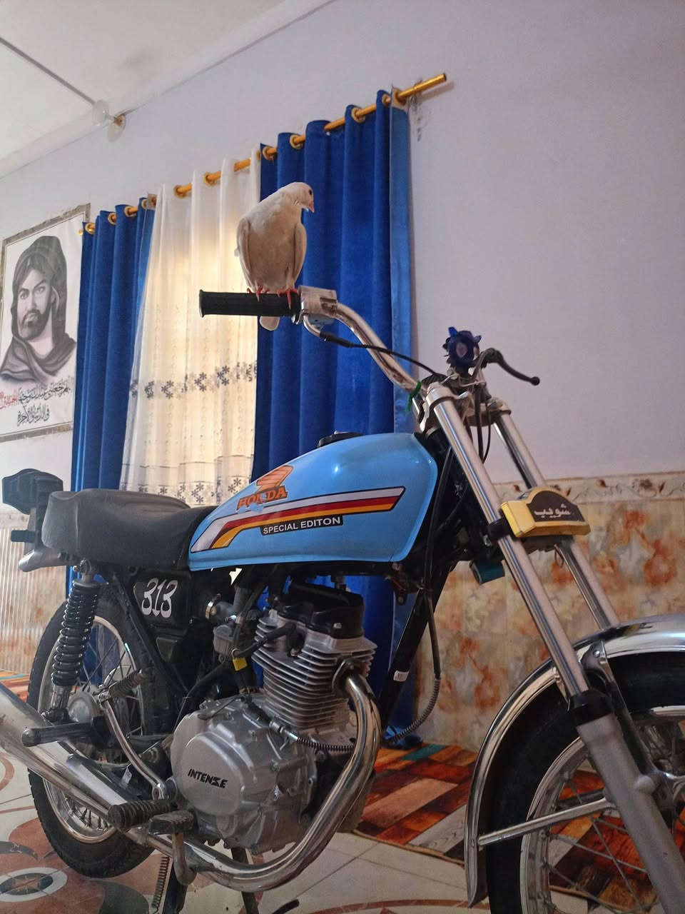 سلام عليكم درجة للبيع مكان ناصريه شطره
الدراجه مكفوله كفاله عامه   الدراجه أوراق صولي موديل 16 تعمير 24  ويريد ها هذا *********** وبخدمه الشراي
