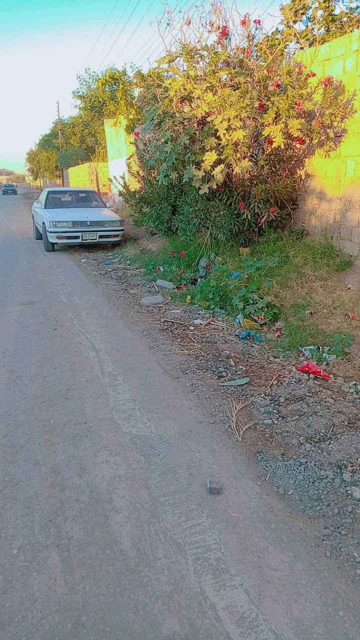 السلام عليكم
للبيع سياره مارك نضيف داخل وخارج  محرك وگير نضاف تراي وين متريد كهربائيات كلهه شغالة مسجل گيج بانزين صدر جديد تواير جدد مابيهه نقص 
ملاحظة السياره مامسجل ومامگصوص 
السعر14وبيهه مجال 
للاستفسار اتصل عل رقم 
‏‪0780 330 1425‬‏
