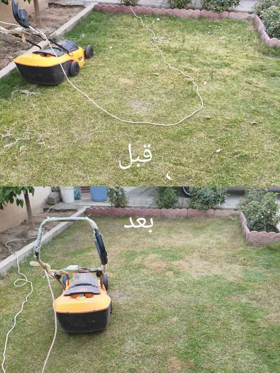 (سلام عليكم ورحمة الله وبركاته)
يوجد مكينه  قص حدائق اجيك ليم  باب البيت الاتصال  
 اسيا (***********)
 زين (***********)   
وسعر حسب حجم الحديقه (وجوامع مجانا) 
       (بإداره ايمن)
         وسلامتكم
