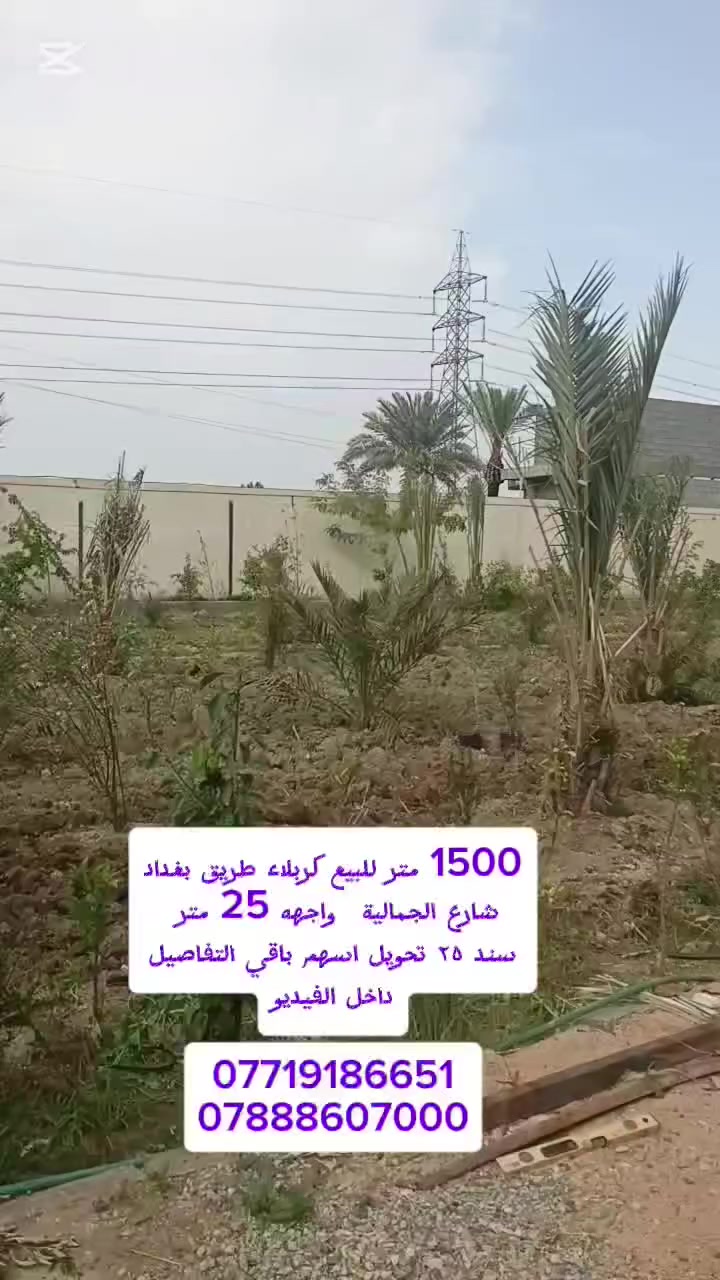 1500 متر للبيع كربلاء طريق بغداد شارع الجمالية سند ٢٥ تحويل اسهم واجهه ٢٥ متر والباقي نزال تبعد عن الشارع العام ١٠٠ متر 
تبعد عن الامام 8 كيلو الاستفسار *********** 
***********
