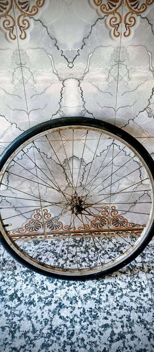 السلام عليكم البيع ويل وراني وا امامي هنه وجوابه وجلوده السعر15الف والجثه 3الف المكان ناصريه المركز ***********واتساب
